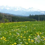 Mittelallgaeu * Betzigau