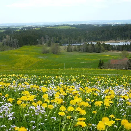 Mittelallgaeu * Betzigau