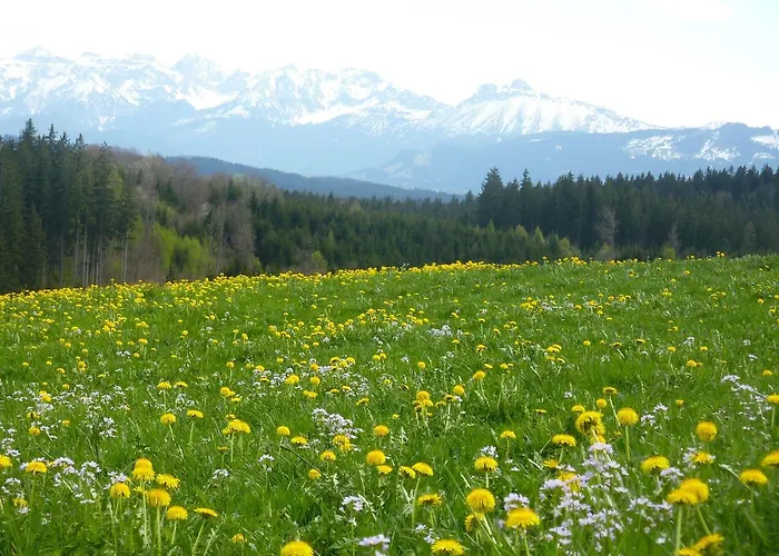Mittelallgaeu * Betzigau