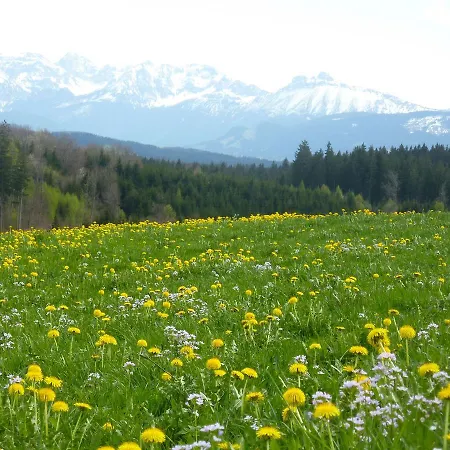 Landgasthaus Mittelallgäu * Betzigau